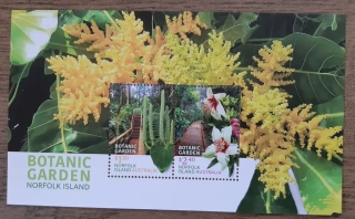 Norfolk Island, Austrálie ** aršík, botanická zahrada, r.2023