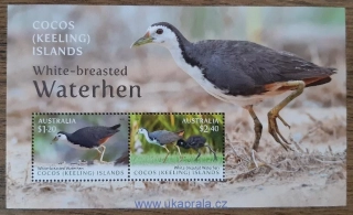 Cocos Islands, Austrálie ** aršík White-breasted Waterhen, r.2023