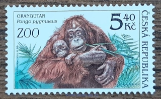 ČR ** 303 Ochrana přírody-zvířata v ZOO, orangutan, r. 2001