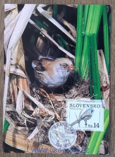 Slovensko CM 349 ptáci, sýkořice vousatá