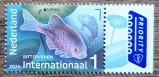 HOLANDSKO ** EUROPA, ryba, podvodní fauna, r. 2024
