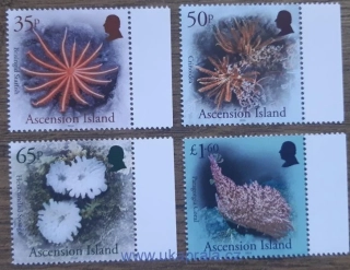ASCENSION ** podmořská fauna, R. 2024