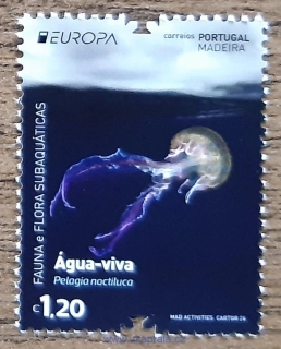 MADEIRA, PORTUGALSKO ** EUROPA, podmořská fauna, R. 2024