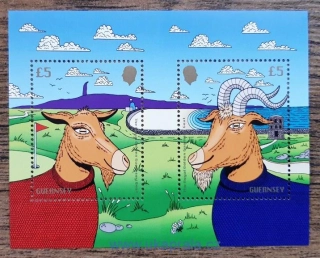 GUERNSEY ** aršík, Royal Golden Guernsey Goat, NOVINKA R. 2025