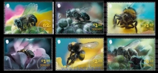JERSEY ** Jersey's Pollinators: Bees, včely, NOVINKA R. 2026