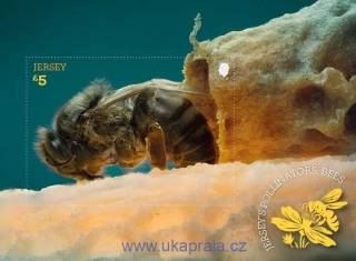 JERSEY ** aršík, Jersey's Pollinators: Bees, včely, NOVINKA R. 2026