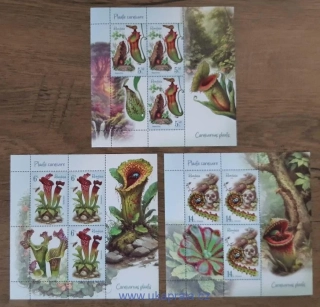 RUMUNSKO ** PL, Carnivorous Plants, masožravé rostliny, hmyz, NOVINKA R. 2026
