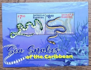 ANTIGUA A BARBUDA ** aršík, mořští hadi, r. 2024