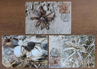 KYRGYZSTÁN (KEP) CM "Spiders of Kyrgyzstan", pavouci, R. 2025